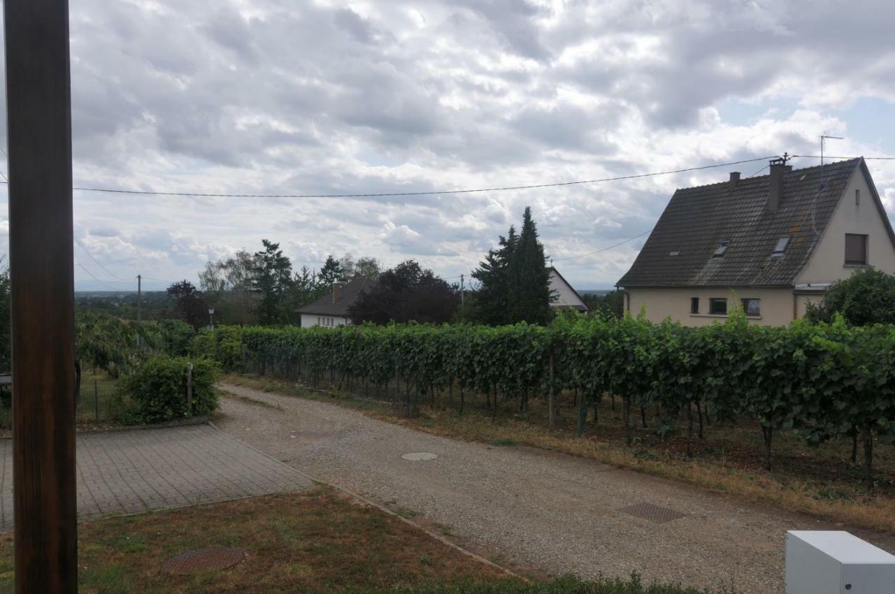 Les Cerisiers Villa Bernardswiller Kültér fotó